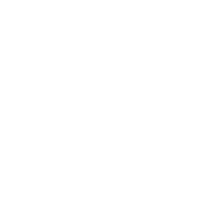 graphic of three flies
