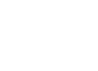 graphic of a bird