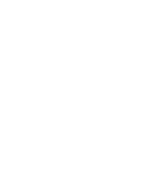 graphic of one roach